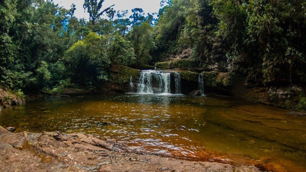 Putumayo, con su gran biodiversidad, le apuesta al turismo de naturaleza