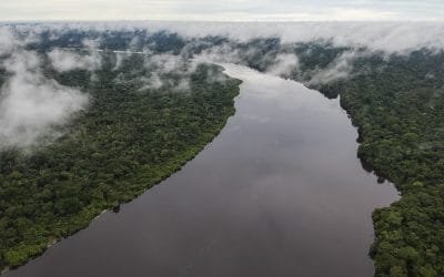 Despliegue del SINA en la Amazonía deja buenos resultados