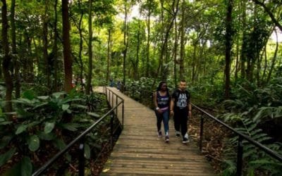 Avanzan en recuperación del Jardín Botánico de Medellín