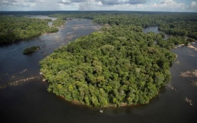 Brasil perdió en tres décadas la sexta parte de áreas cubiertas con agua