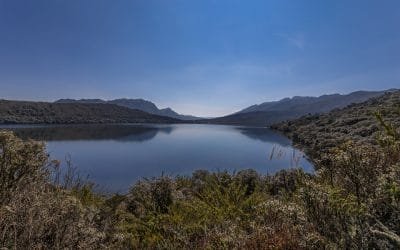 Parque Nacional Natural Chingaza, incluido en la Lista Verde de Áreas Protegidas y Conservadas