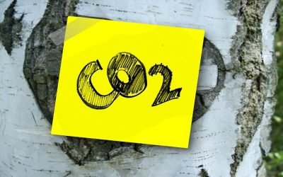 COP27 espera sesión final con negociaciones en «tensión»