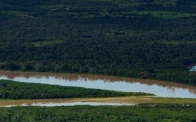 Se viene la COP26, cumbre mundial de cambio climático