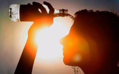 Fenómeno del Niño favorecería sequías más severas y picos de calor