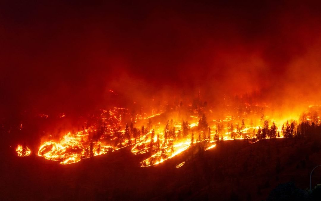 Cambio climático intensifica los mega incendios de 2023-24, con impactos devastadores y proyecciones alarmantes