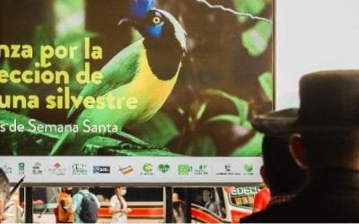 Alcaldía de Medellín y Corantioquia reiteran llamado a proteger la fauna silvestre