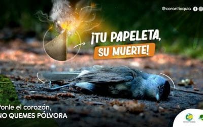 Mensaje para cuidar la fauna en Navidad