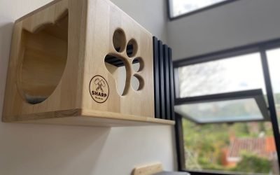 Seis formas de brindar bienestar a tu amigo peludo