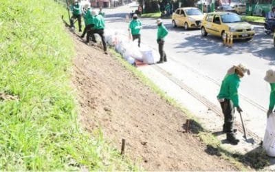 Castilla, en Medellín, se embellece con la recuperación de espacios críticos y nuevos jardines