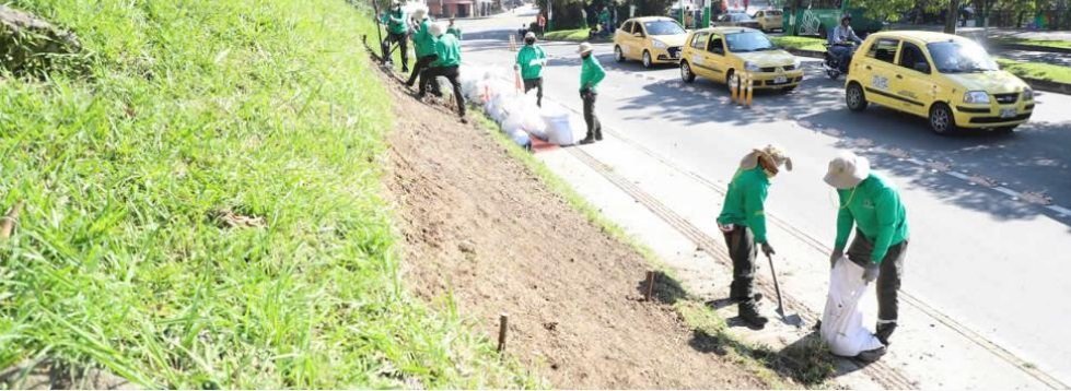 Castilla, en Medellín, se embellece con la recuperación de espacios críticos y nuevos jardines