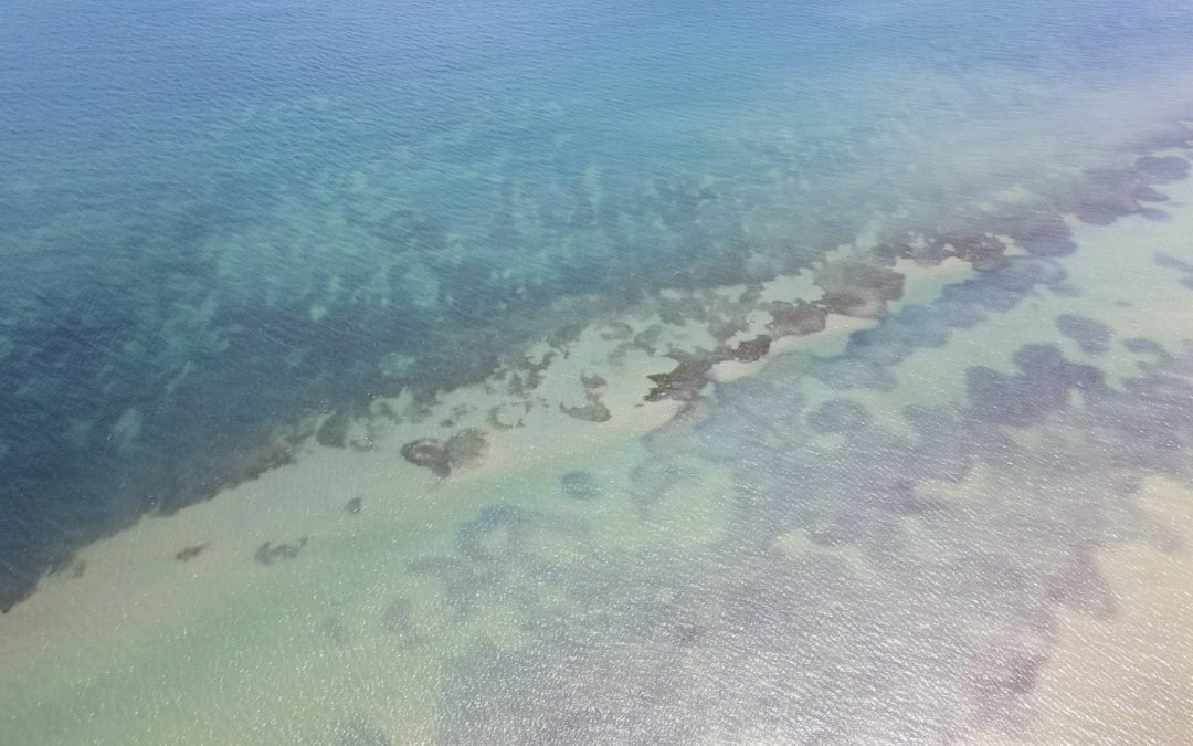 Cerca de 15.000 millones de pesos para la protección de los pastos marinos en La Guajira