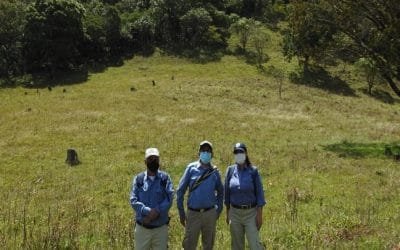 Parques Nacionales Naturales adquiere predios en Chingaza y Galeras