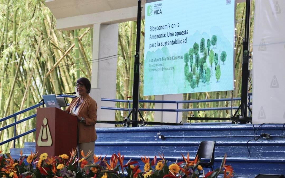Bioeconomía para la articulación de conocimiento sobre el futuro sostenible