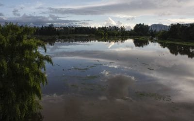 “El planeta nos necesita”, dice el ministro Correa en el Día Mundial del Clima