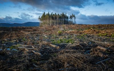 La COP28 aprueba poner en marcha el nuevo fondo de pérdidas y daños