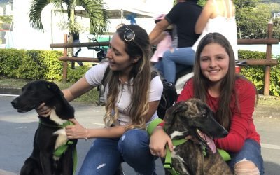 Recomendaciones para cuidado de animales de compañía en Feria de las Flores