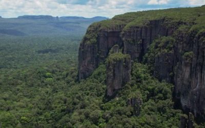 En la web se encuentran mercados de carbono en Colombia