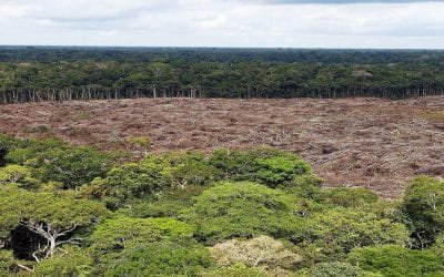 Deforestación de la Amazonía colombiana, en alza