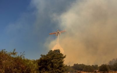 OMS avisa de que el calor e incendios desencadenan enfermedades