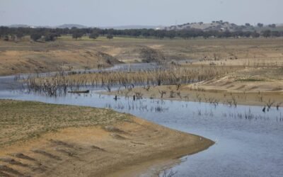 Nuevos desafíos en la agricultura frente al fenómeno de El Niño