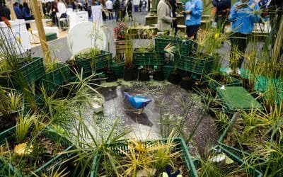 comenzó la Feria Internacional del Medio Ambiente