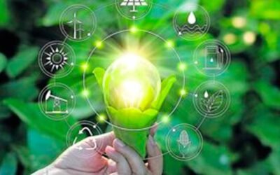 Colombia debería invertir entre 3 y 4 puntos del PIB para cumplir metas de acción climática