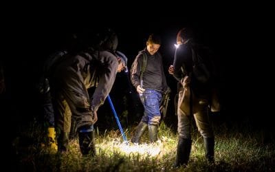 Buscan la rehabilitación ambiental de Providencia