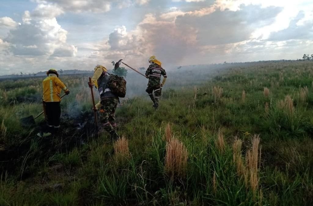 Incendio forestal afecta más de 30.000 hectáreas en Parque El Tuparro