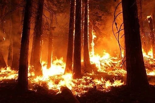 Se dispararon incendios en la Amazonía brasileña