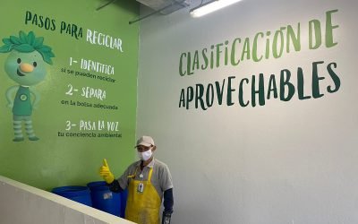 Programas de reciclaje promueven los empleos verdes