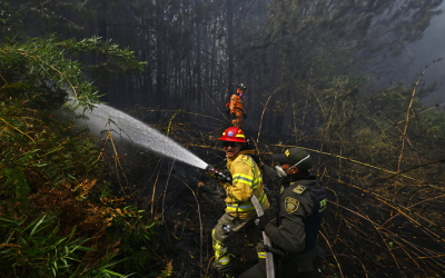 Colombia combate incendios forestales en diez departamentos