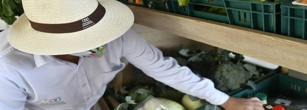Campesinos de Santa Elena afectados por granizada recibirán insumos para recuperar sus cultivos