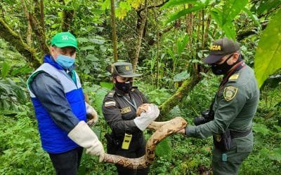 Liberan 2.473 animales en campaña por la biodiversidad del país