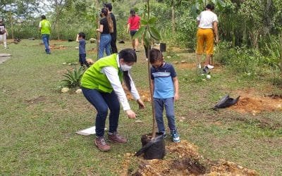 97 mil árboles nuevos crecen en oriente del país