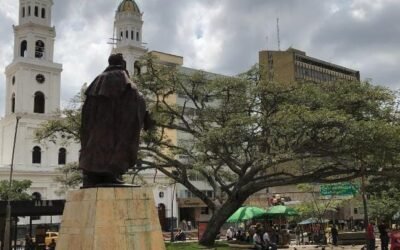 Alcaldía de Bucaramanga hace inventario de árboles en el parque Santander