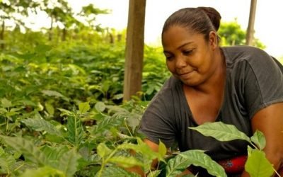 Mujeres y cambio climático, la importancia de una relación que salva vidas