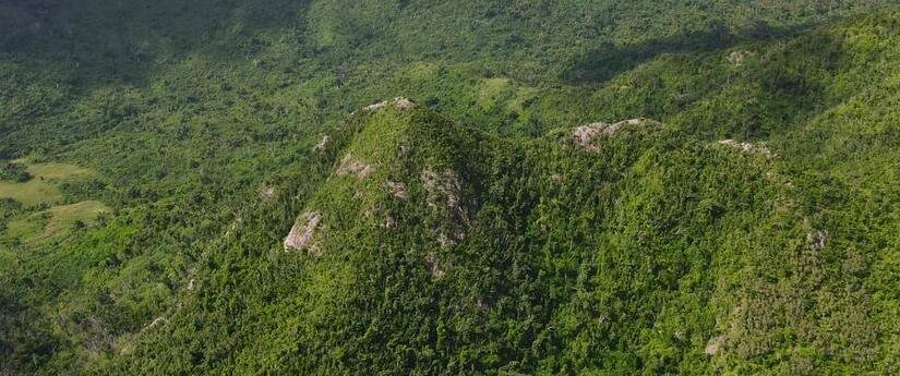 Minambiente pone la lupa en reservas forestales