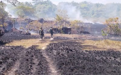 Con talleres intentan prevenir incendios forestales