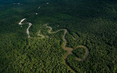 Colombia, sede de evento para proteger la Amazonía