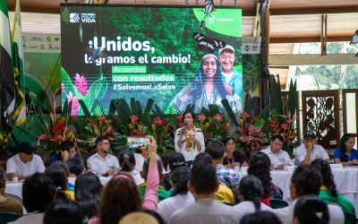 Destinan $100.000 millones para protección de la Amazonía