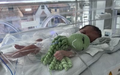 ‘Abraza tu pulpo’, estrategia para reducir estrés en bebés prematuros