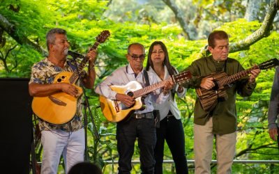 19 artistas mayores de Medellín recibirán dinero vitalicio