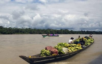 El río Atrato, un tesoro de biodiversidad que el país ha abandonado