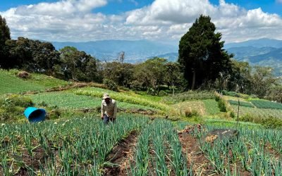 101 productores de Medellín se beneficiarán con infraestructura agrícola