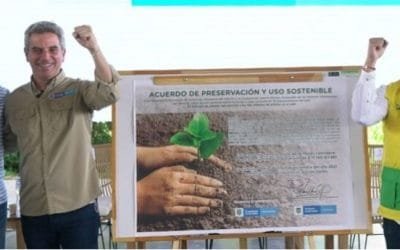 JAC sembrarán 3,1 millones de árboles