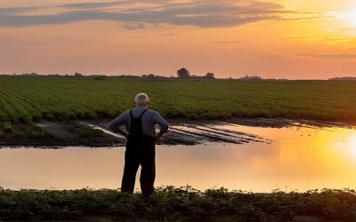 Seis regiones, las más afectadas por las lluvias en Colombia