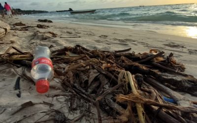 Los microplásticos, un desafío ambiental en el mar Caribe colombiano