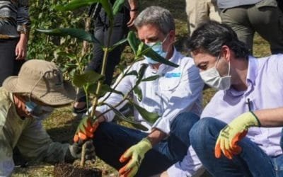 Ministerio de Ambiente reconoce a Medellín como biodiverciudad