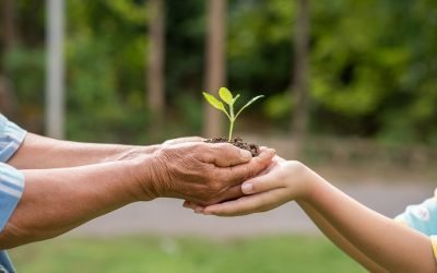 ¿Cómo afecta la calidad del aire a la salud pública en el país?