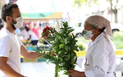 Mercados campesinos regresan a los parques de Medellín